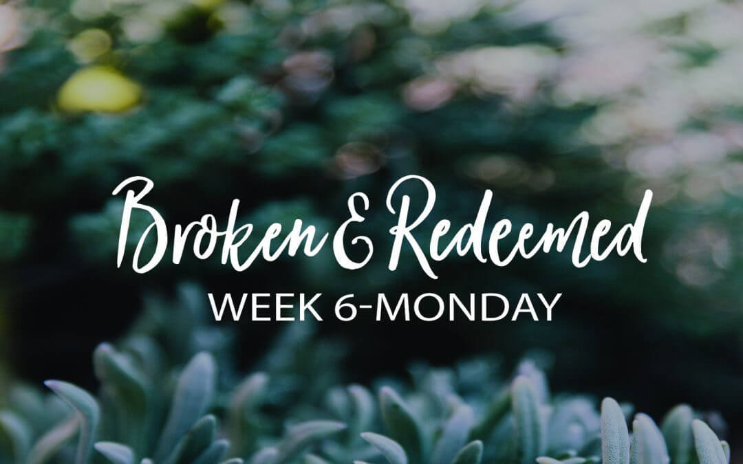 Week 6: Jesus, Broken For Us
