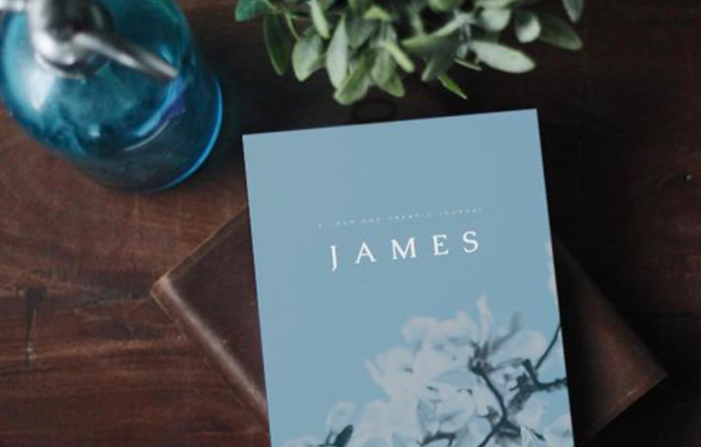 james bible study book faith works