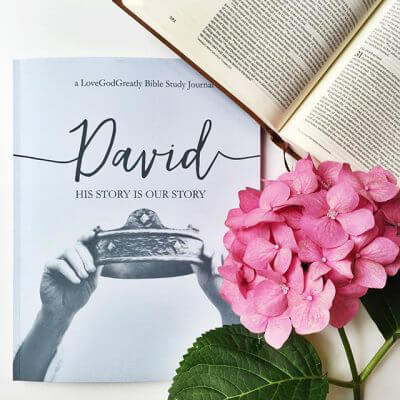 David Journal