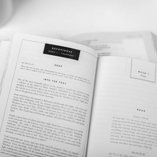 In the Beginning: Bible Study Journal