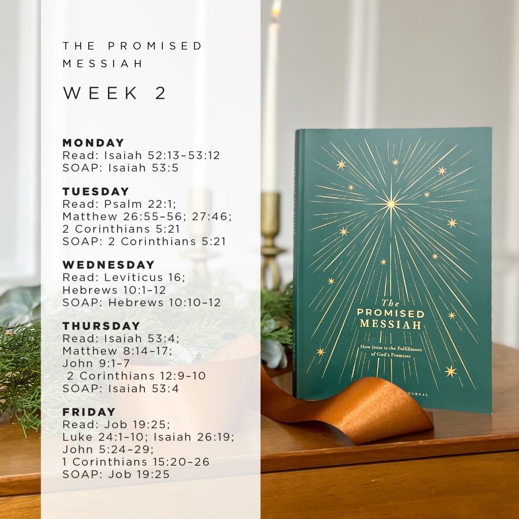 Reading Plan for Week 2 of our Advent Bible study, The Promised Messiah!