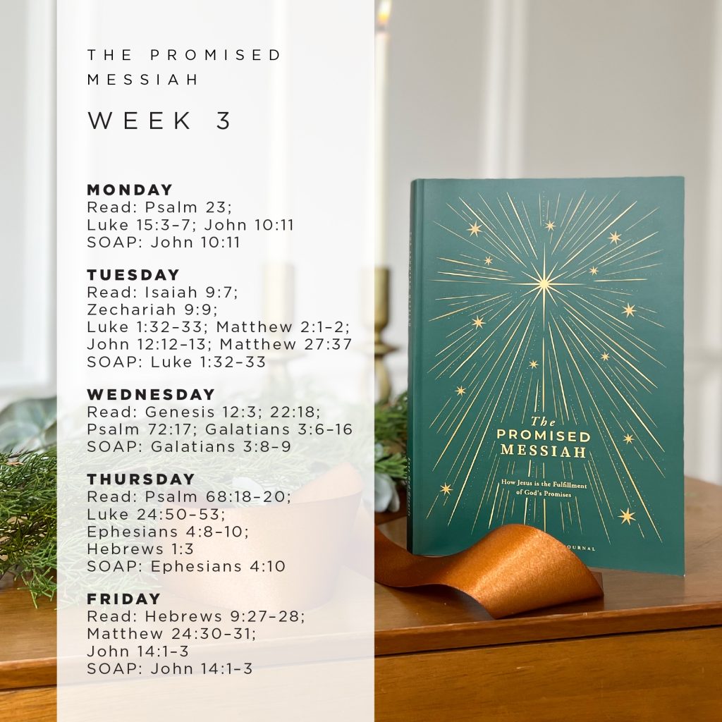 Reading Plan for Week 3 of our Advent Bible study, The Promised Messiah!