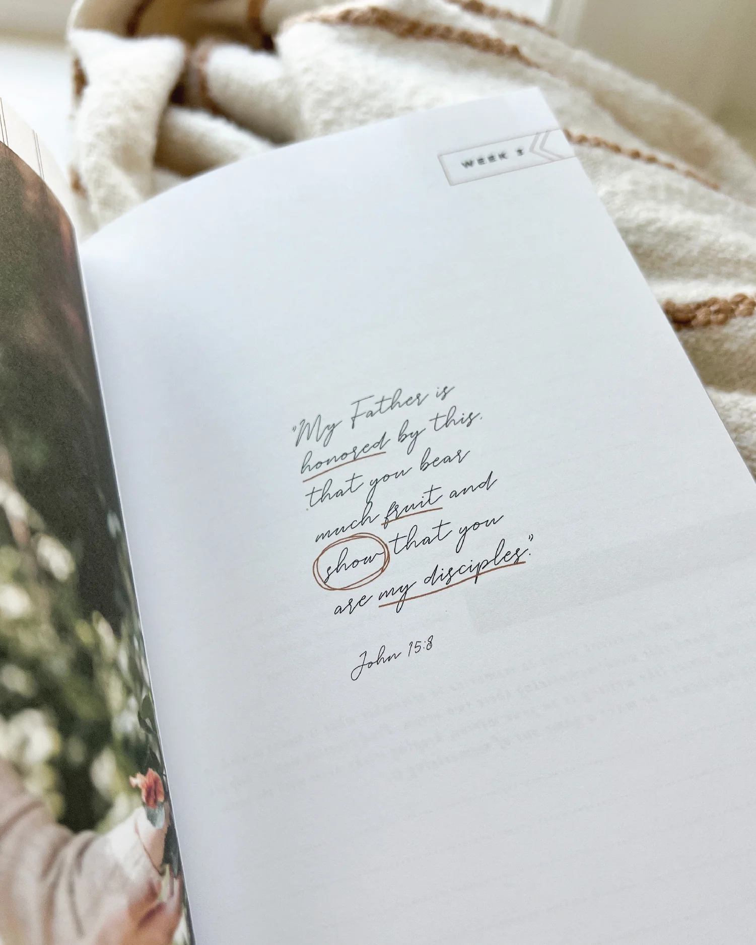 ABIDE_POSTS_v02-04